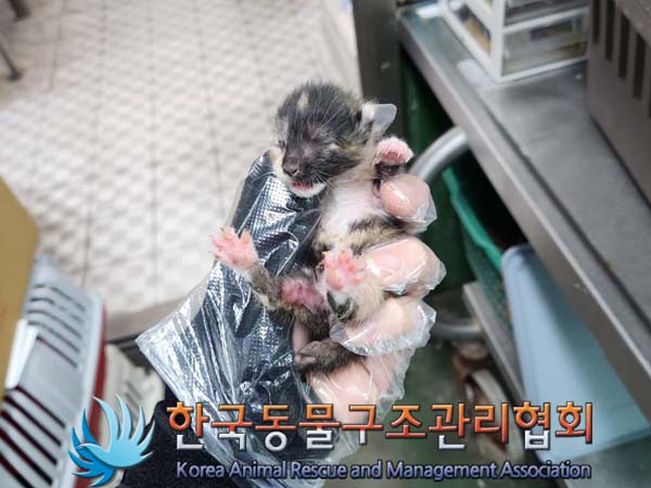 한국동물구조관리협회_441560202300644